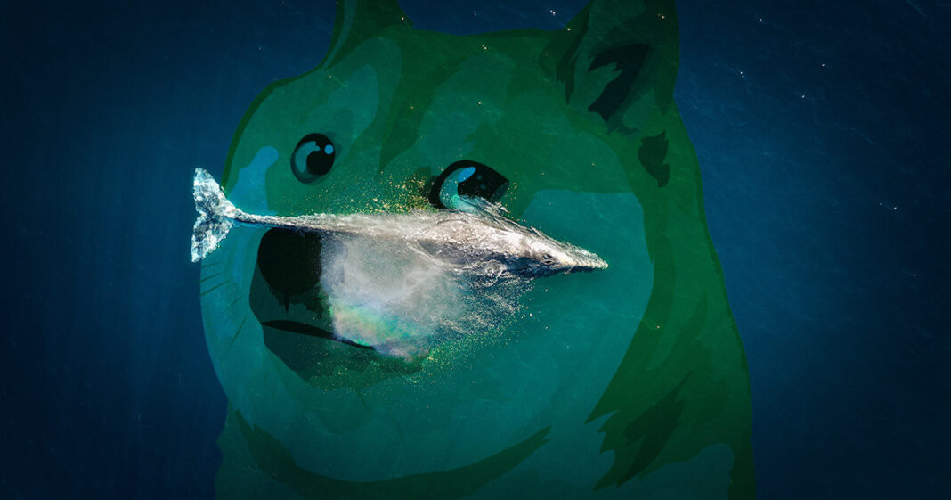 dogecoin.whales