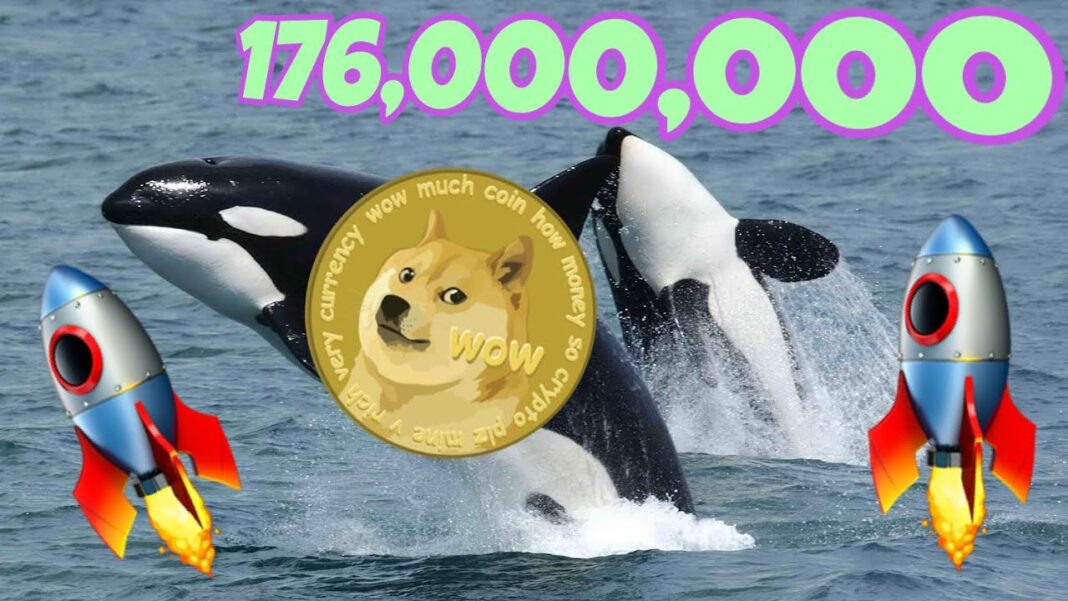 Dogecoin whales